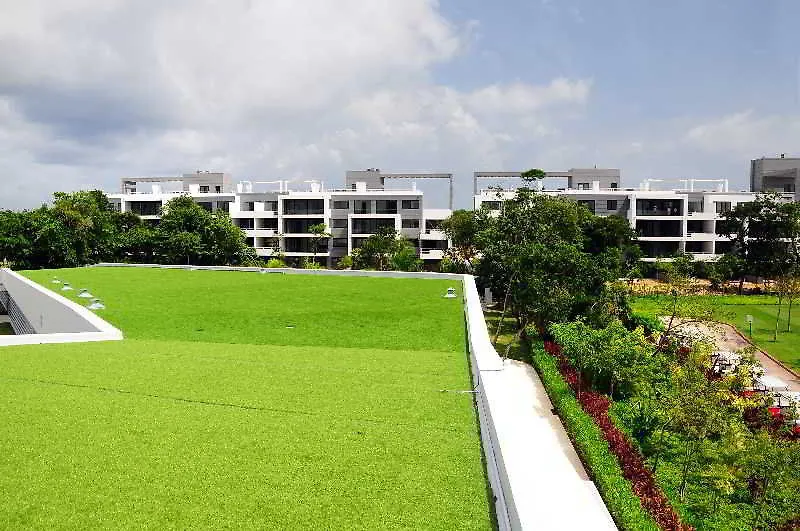 **** Aparthotel Pure All Suites Riviera Maya Playa del Carmen Messico